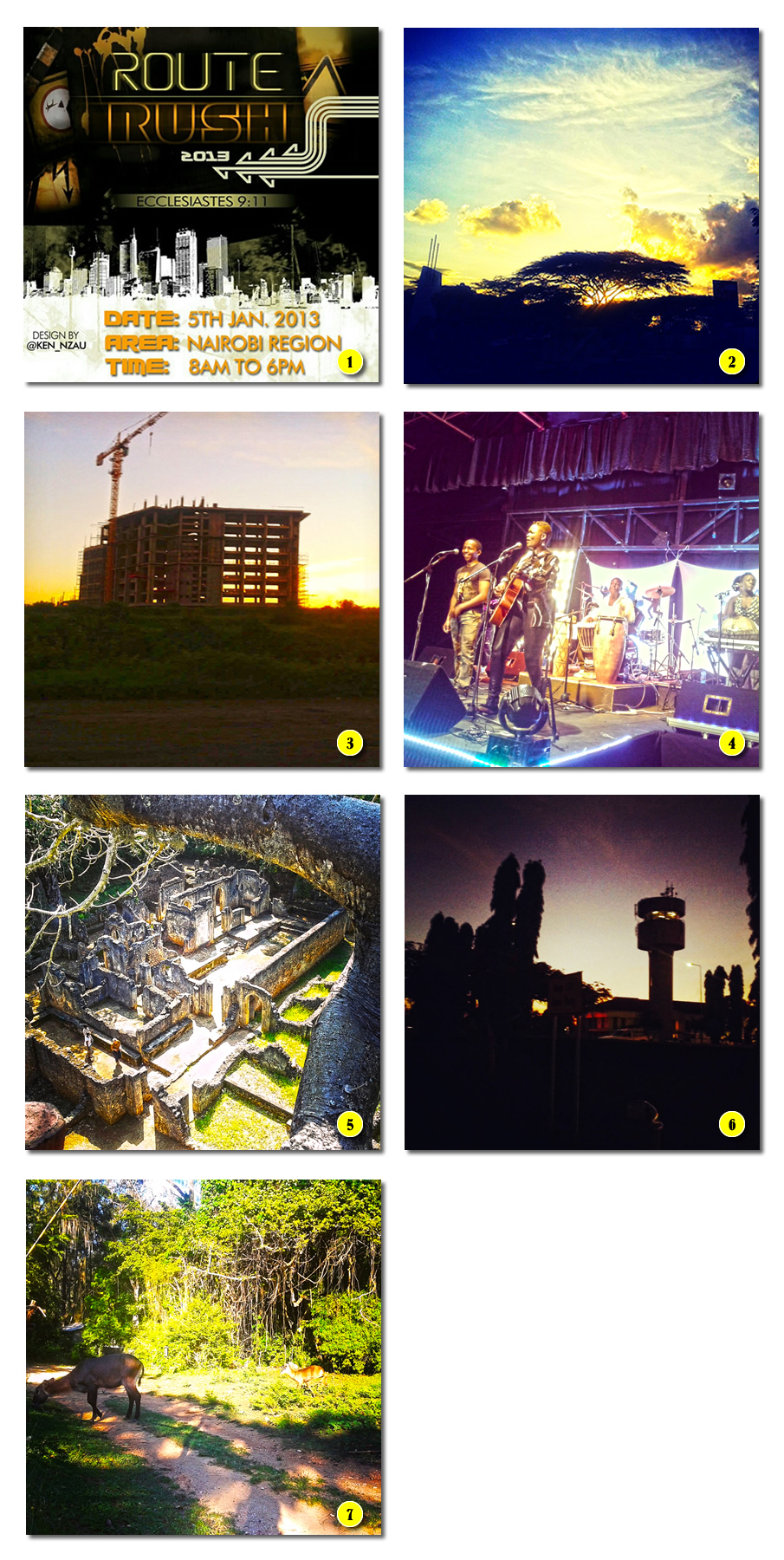 The week in instagram