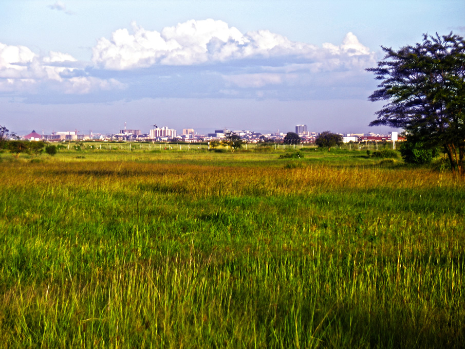 Uhuru gardens