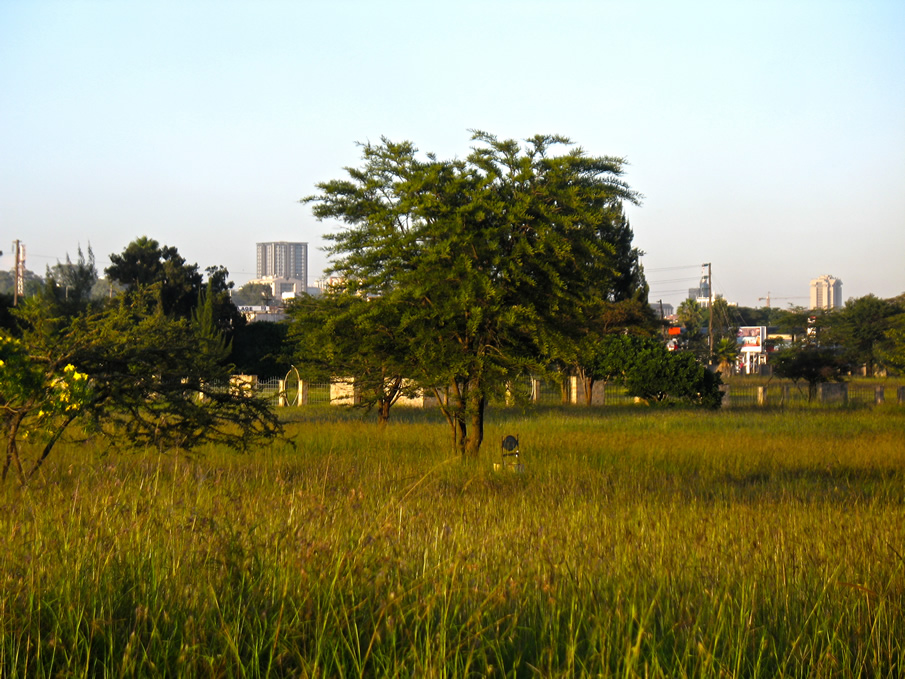 Uhuru gardens
