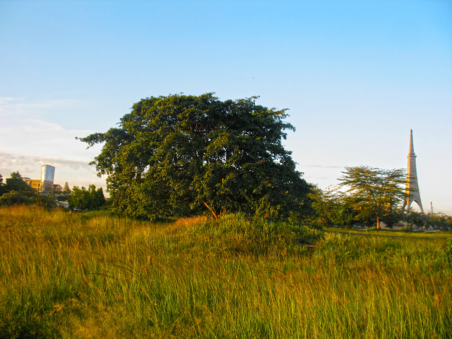 Uhuru gardens