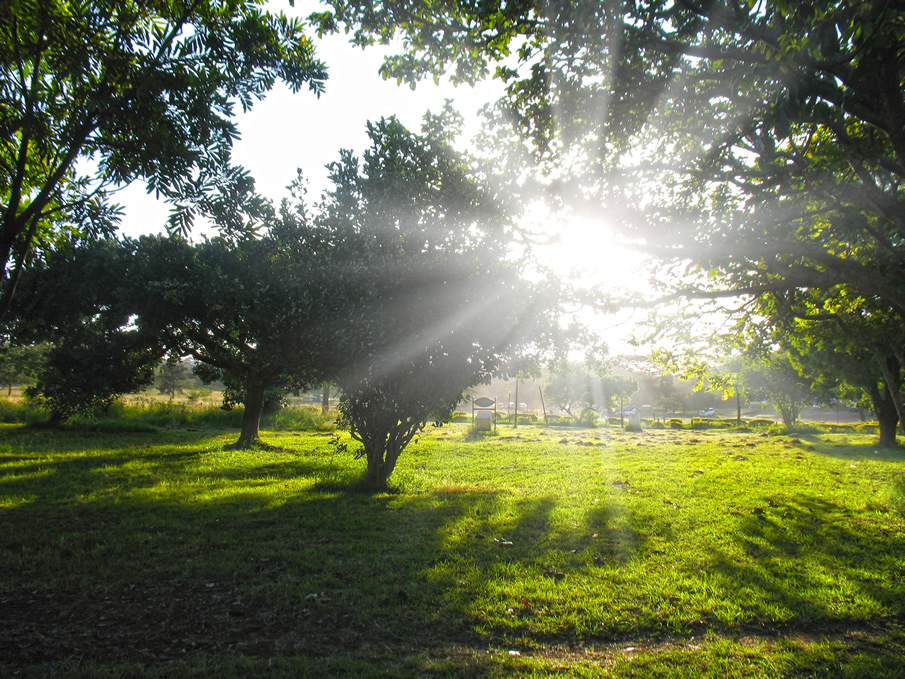 Uhuru gardens