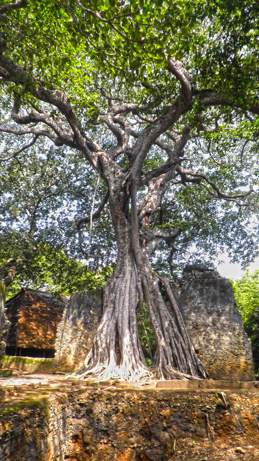 Gede ruins