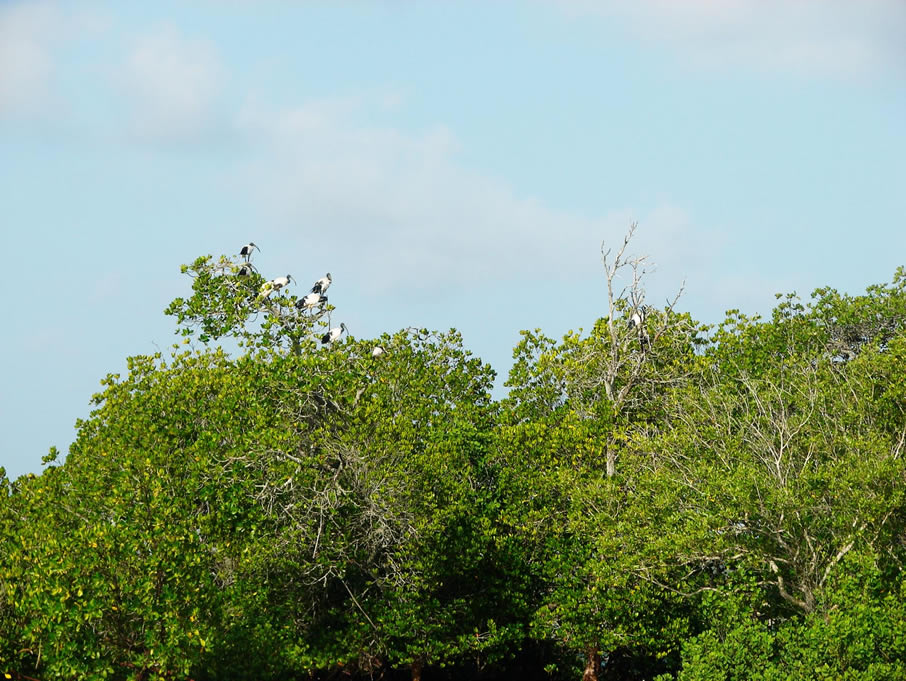 Kilifi