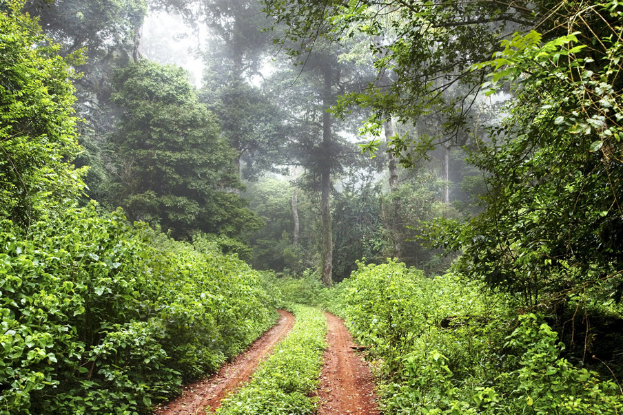 Marsabit National Park.