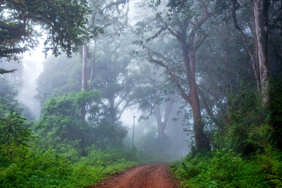 Marsabit National Park.