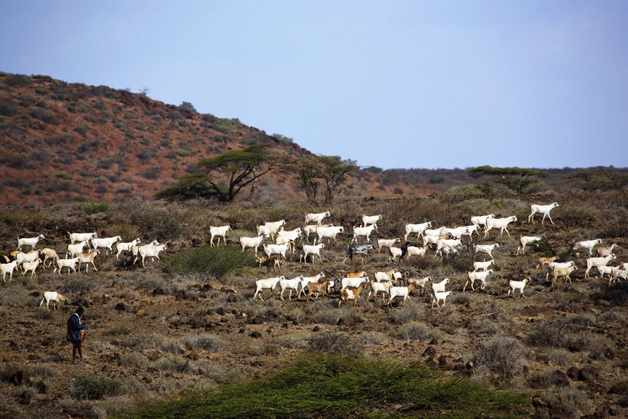 Marsabit National Park