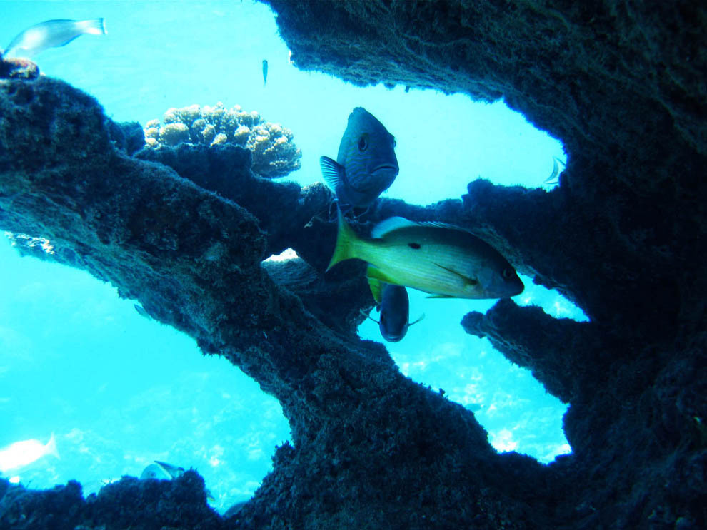 image3