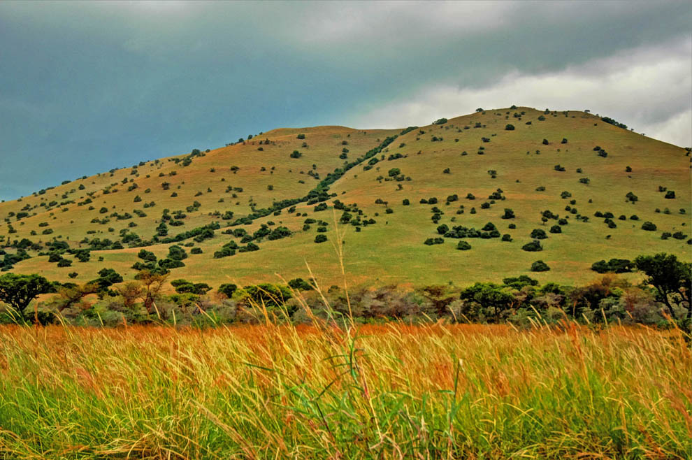Ruma National Park_hillside