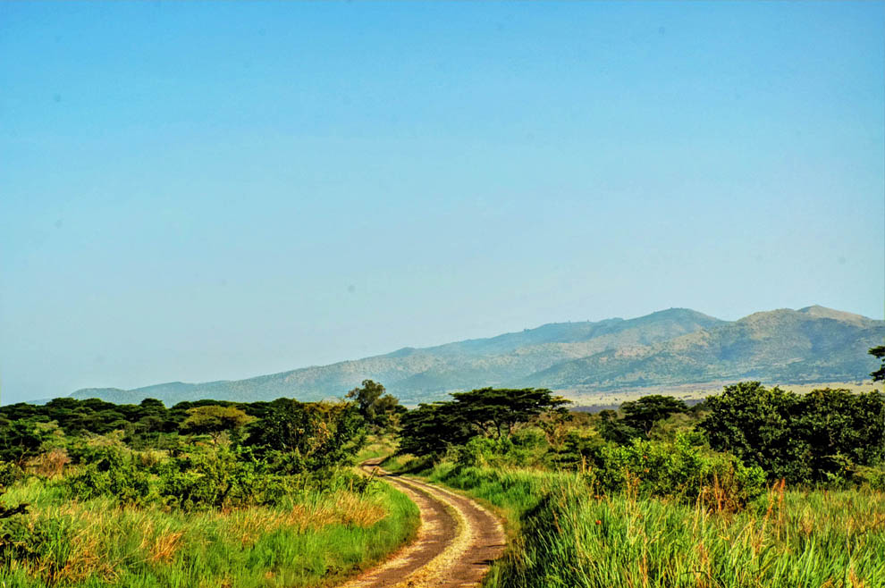 Ruma National Park_road track