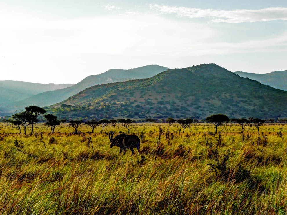 Ruma National Park_rolling hills