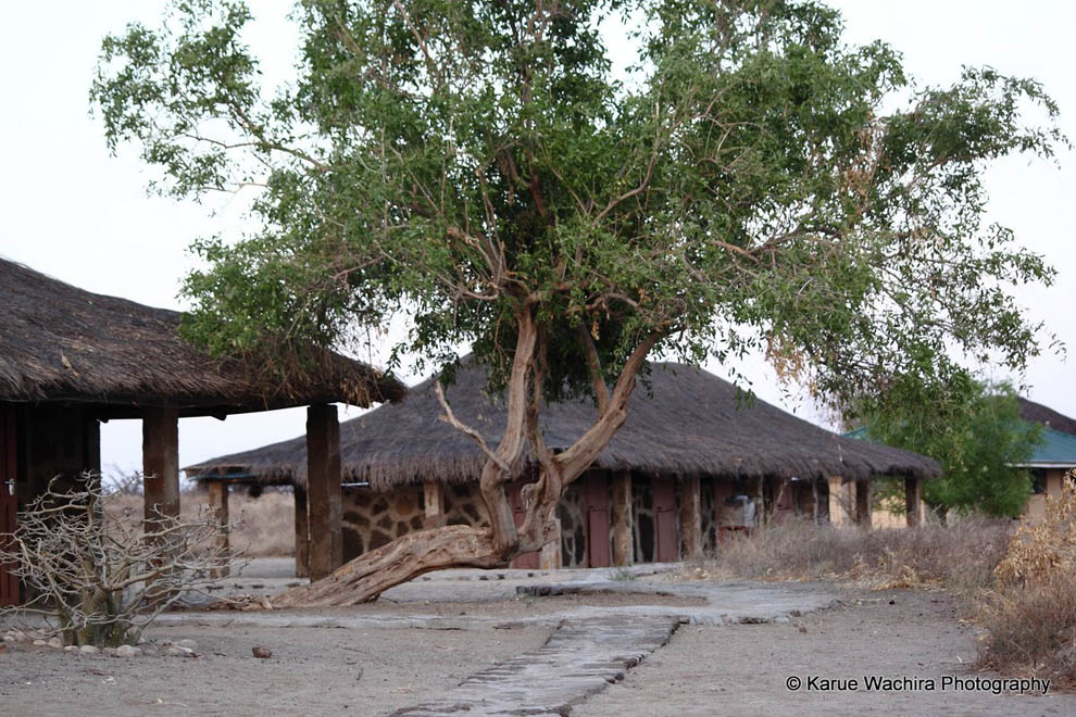 Koobi Fora Camp_Bandas