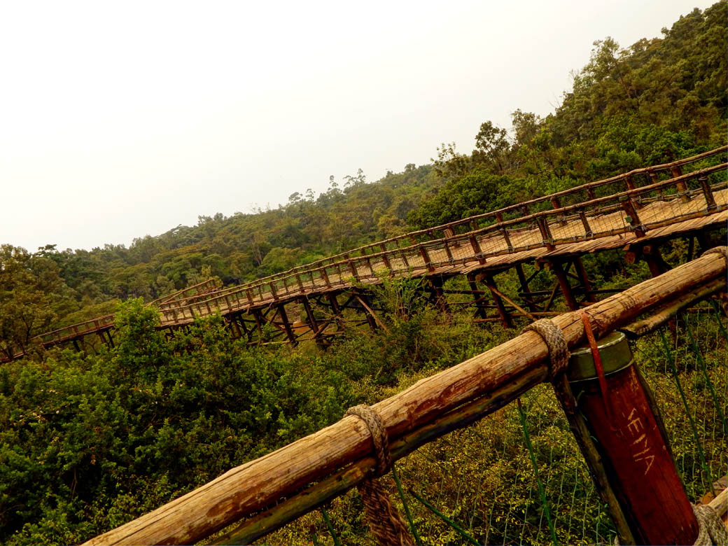 Nairobi Safari Walk_boardwalk view2