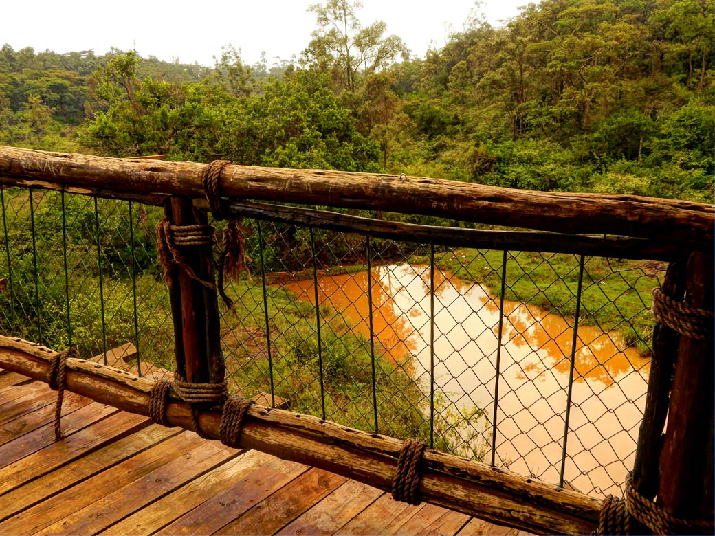 Nairobi Safari Walk_boardwalk view3