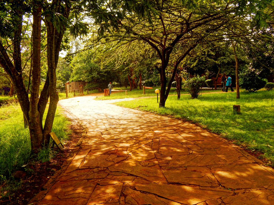 Nairobi Safari Walk_footpath