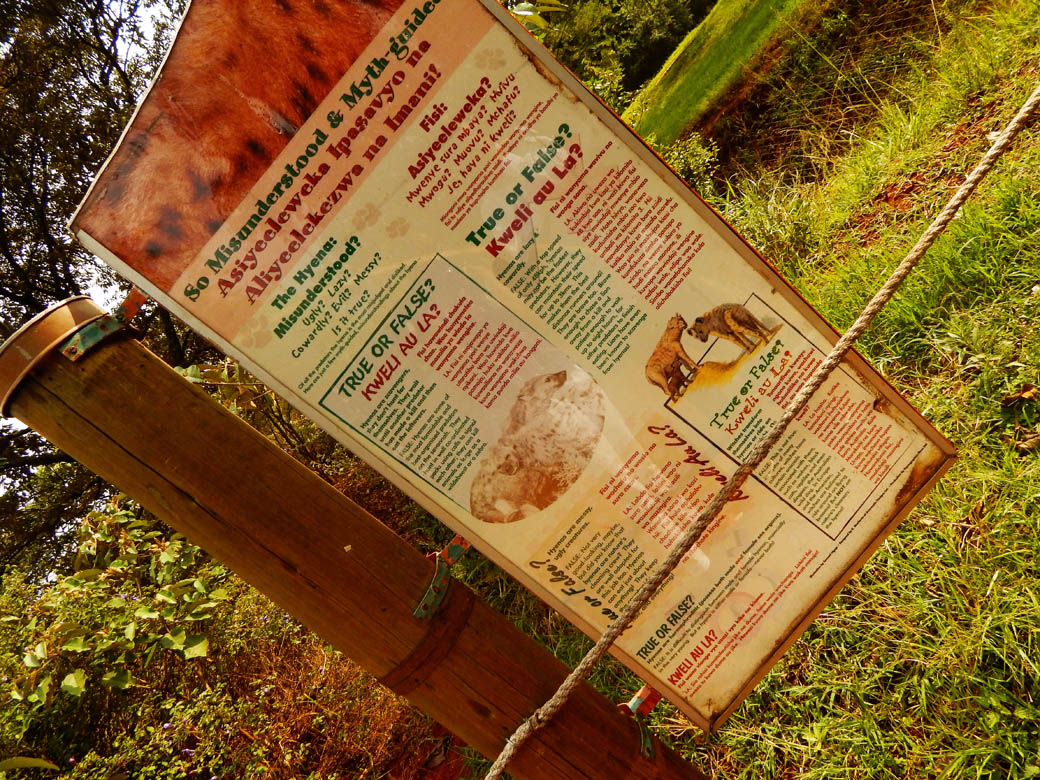 Nairobi Safari Walk_hyena myths