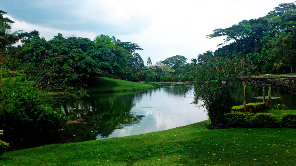 Kapsimotwa gardens_dam