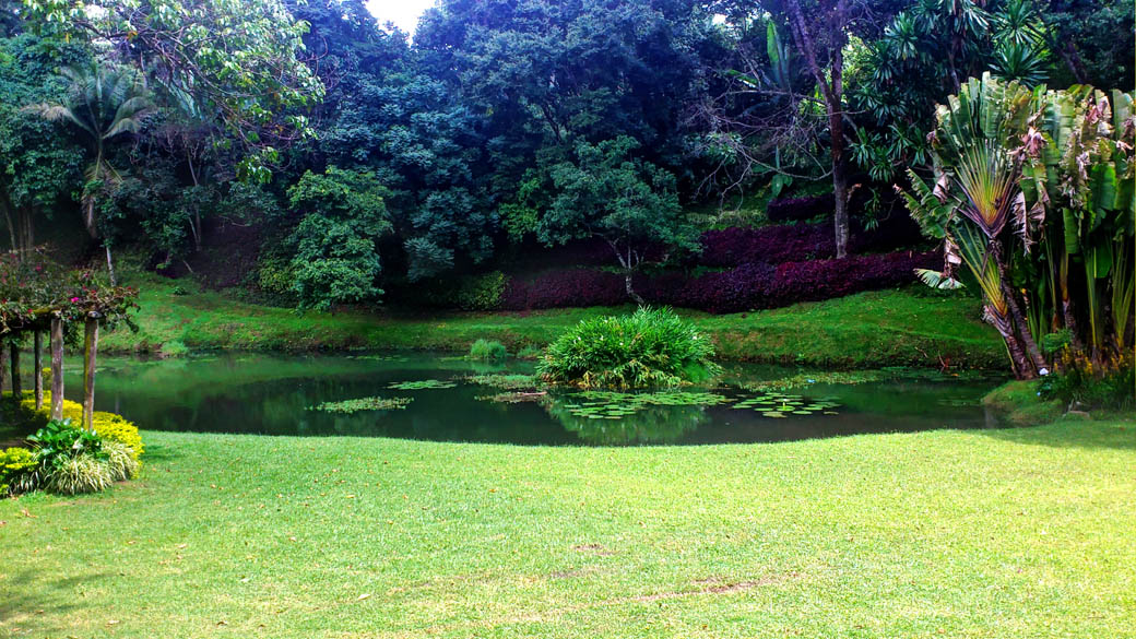 Kapsimotwa gardens_grounds