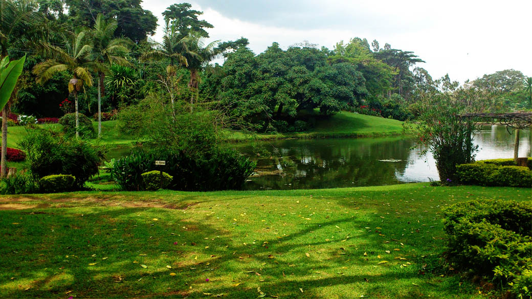Kapsimotwa gardens_grounds2
