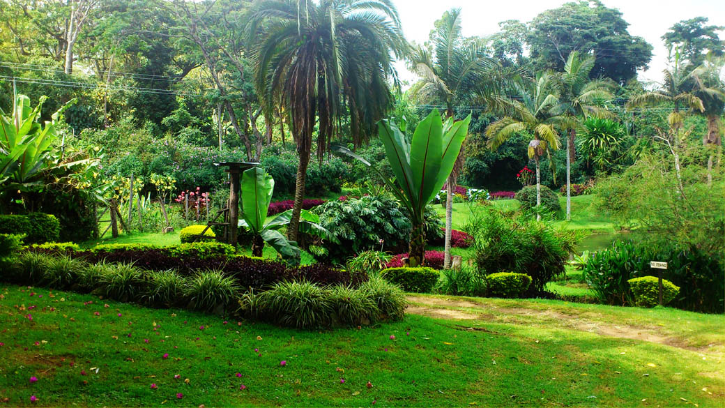 Kapsimotwa gardens_grounds3
