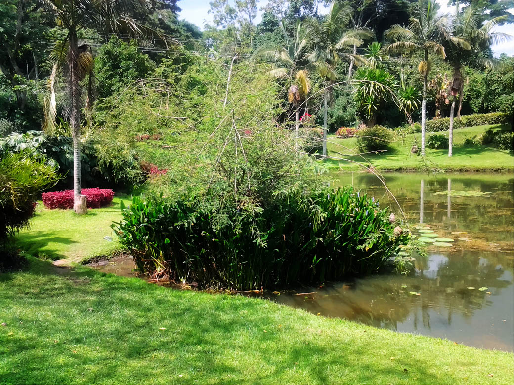 Kapsimotwa gardens_grounds5