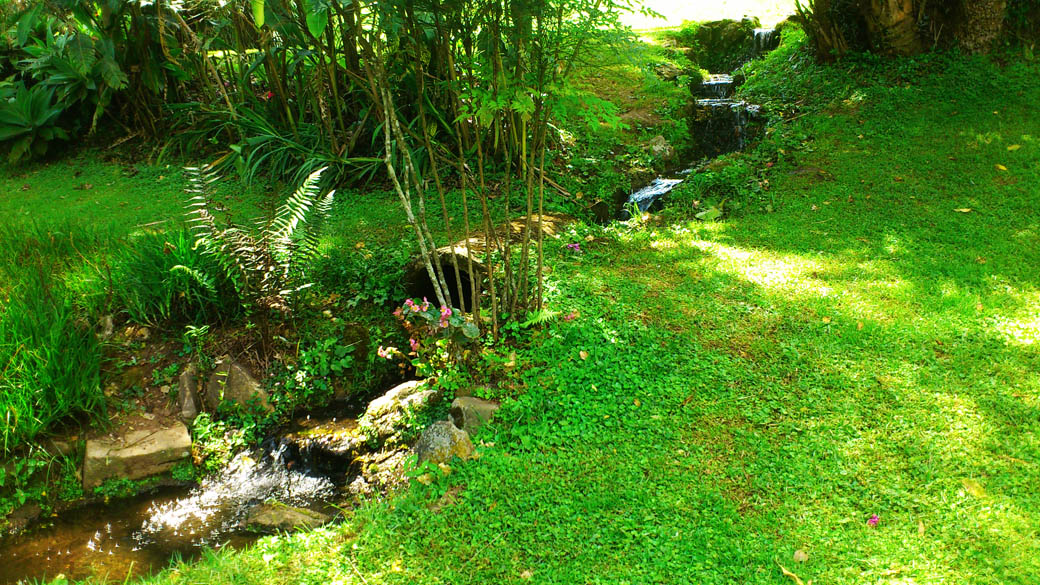 Kapsimotwa gardens_grounds6