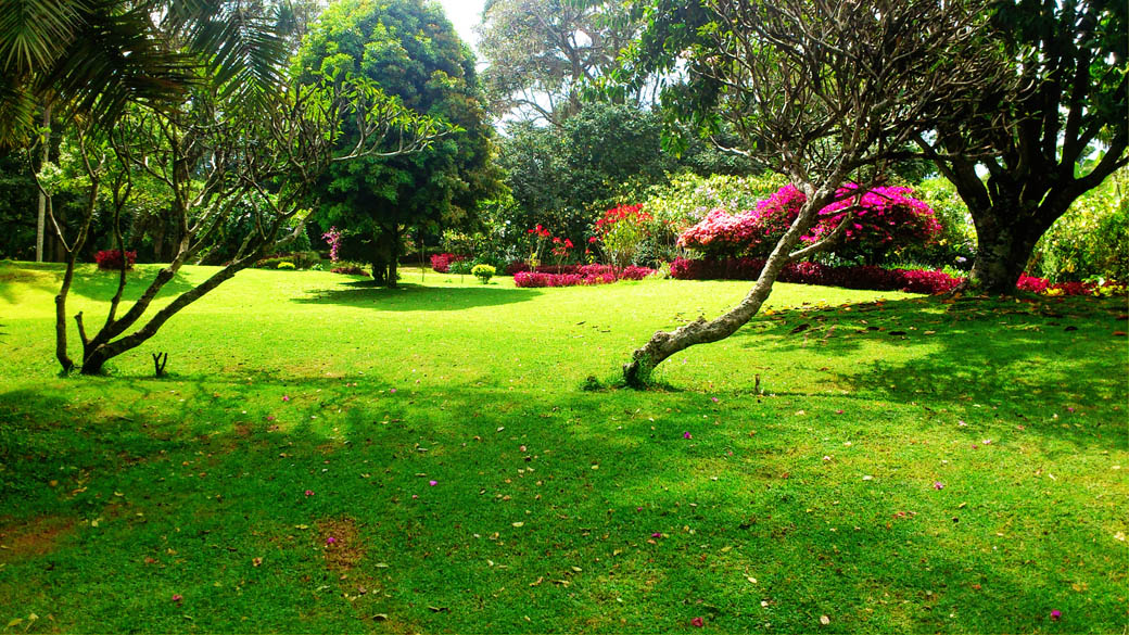 Kapsimotwa gardens_grounds7