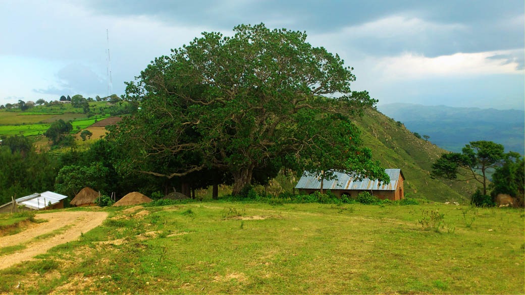 Kapsimotwa gardens_nandi hills