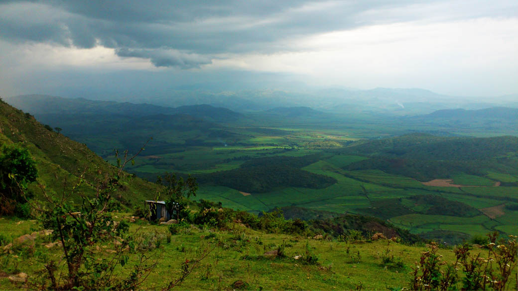 Kapsimotwa gardens_nandi hills2