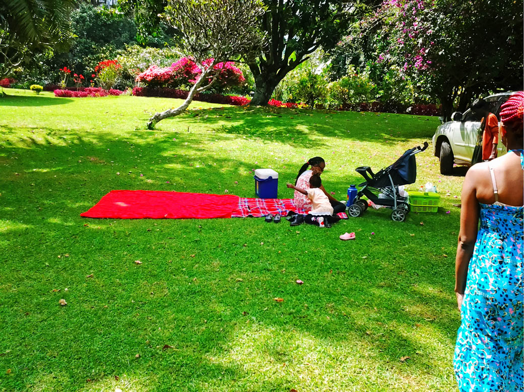 Kapsimotwa gardens_picnic site