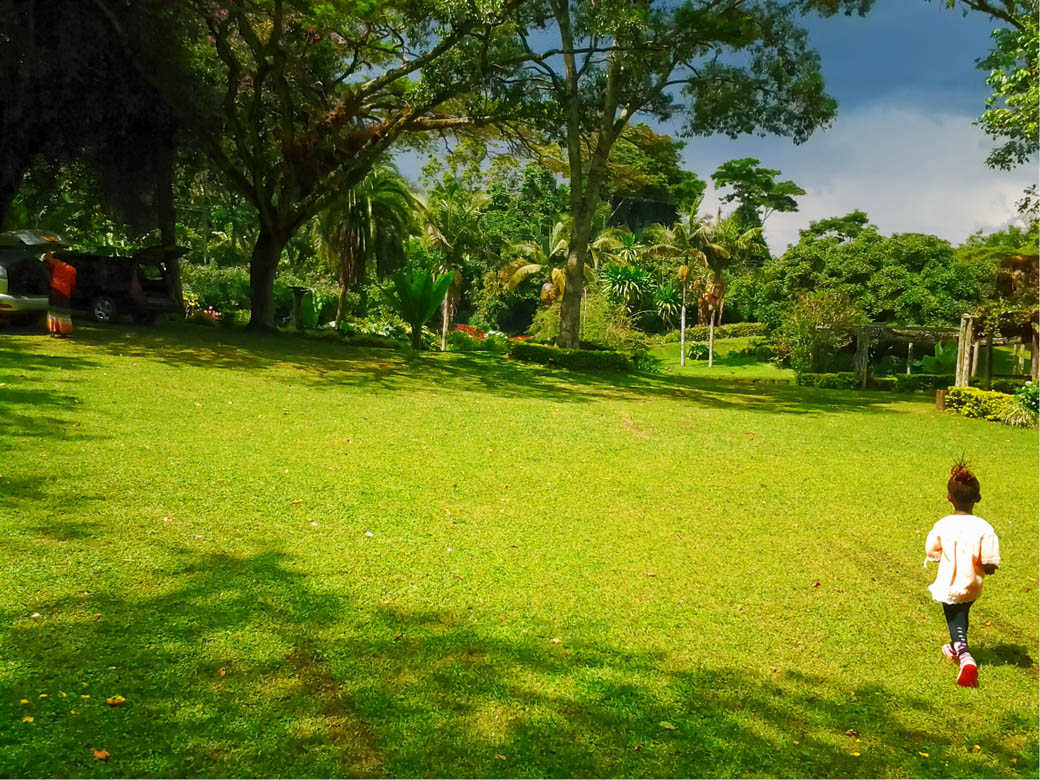 Kapsimotwa gardens_picnic site2