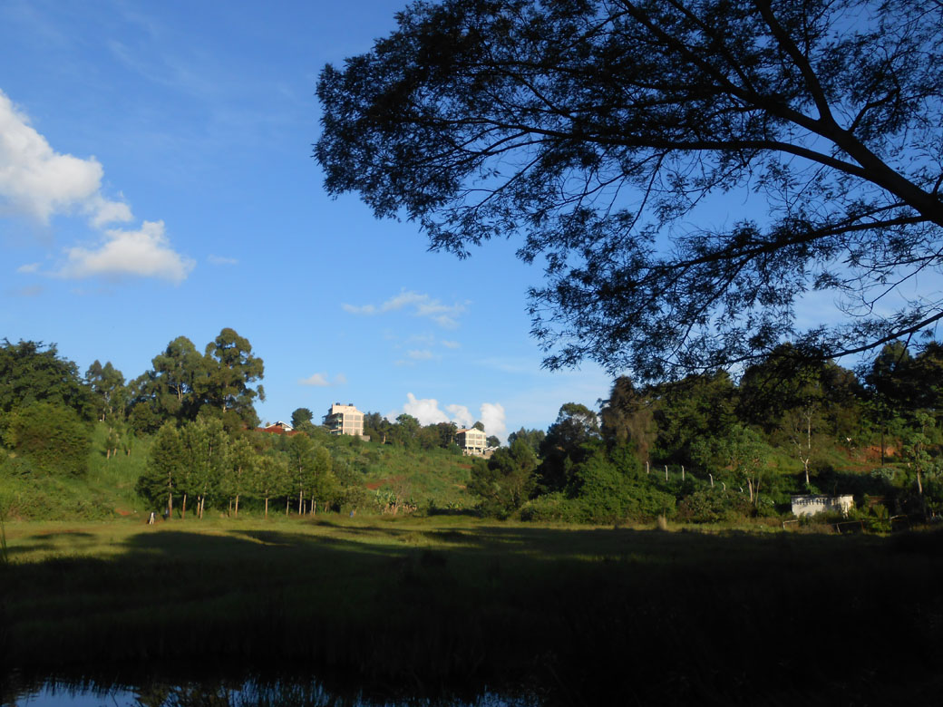 Ondiri Swamp old view