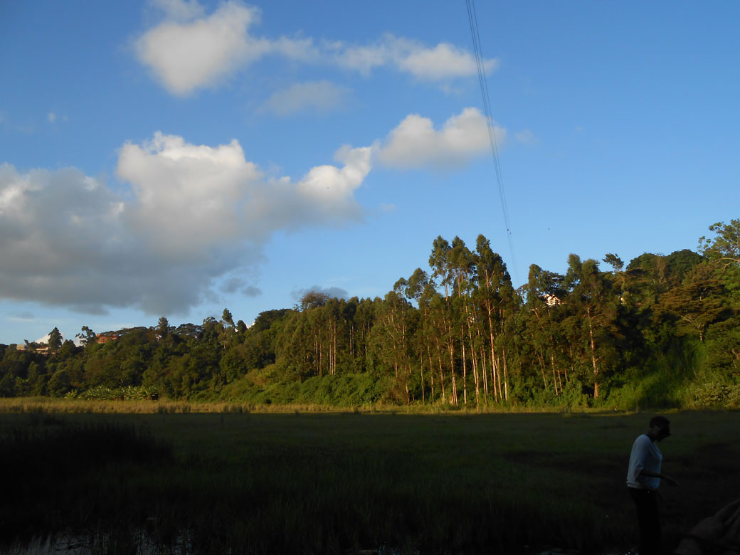 Ondiri swamp 10