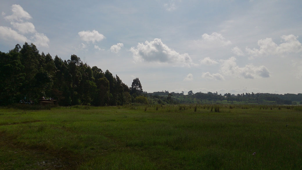 Ondiri swamp 2