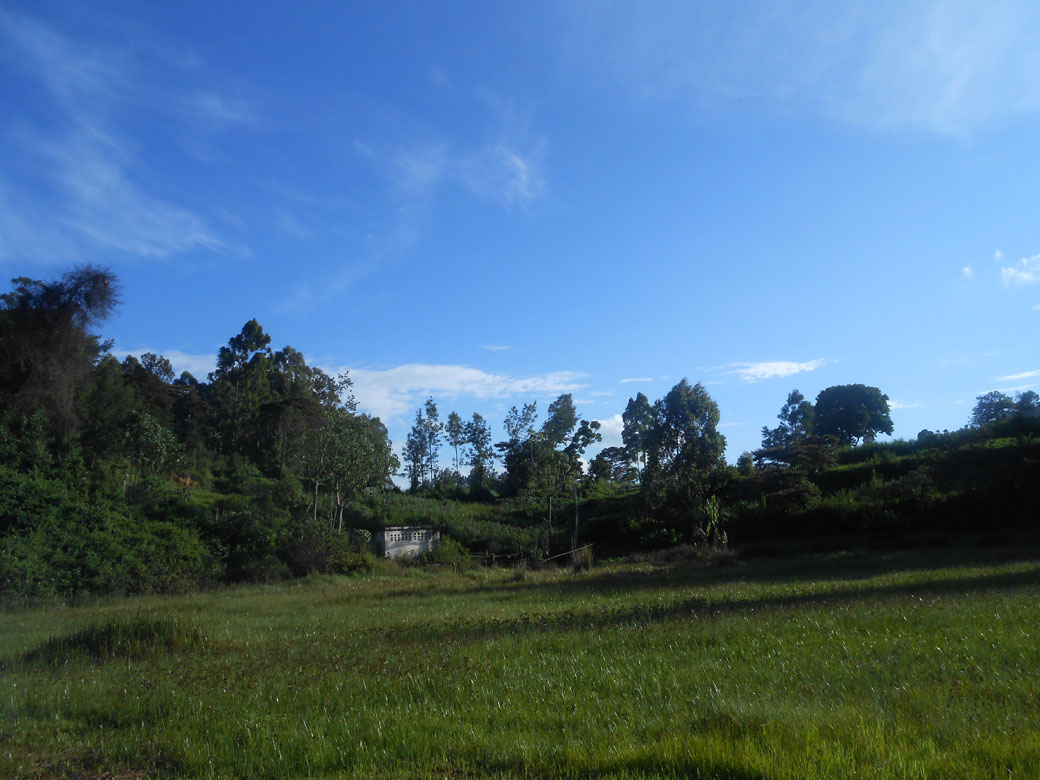 Ondiri swamp 6