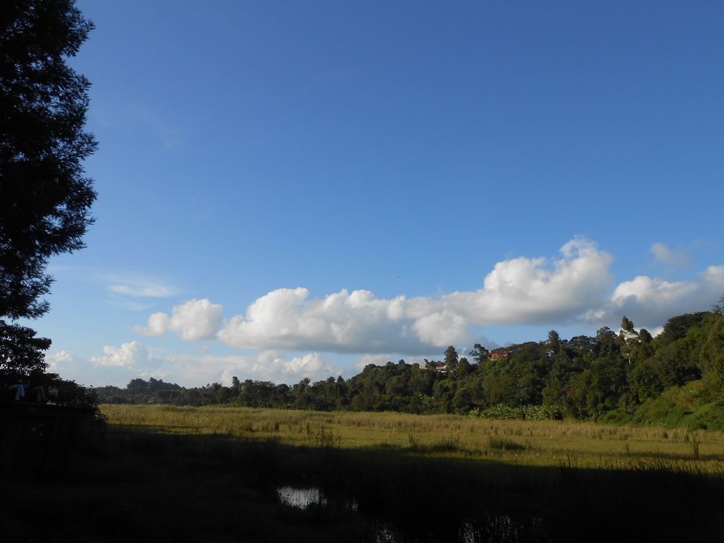Ondiri swamp 8