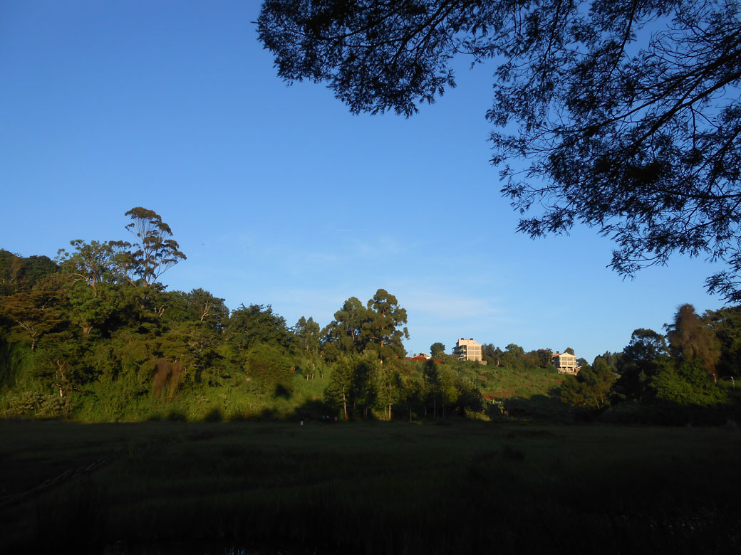 Ondiri swamp 9