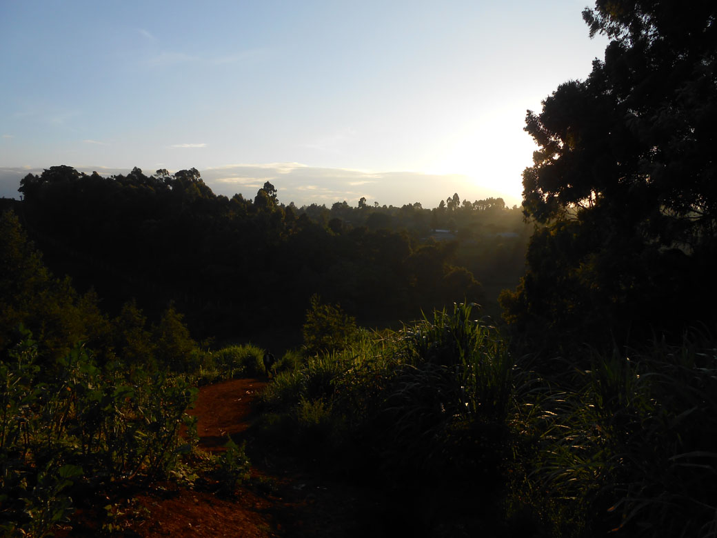 Ondiri swamp old path 1