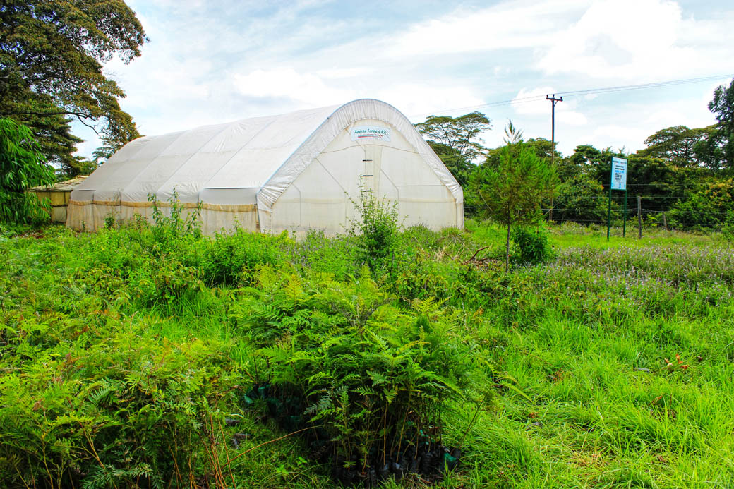 Save Mount Kenya _green house
