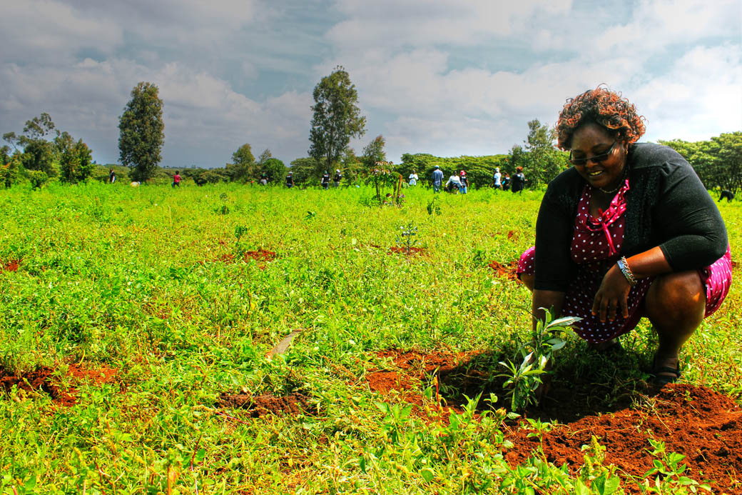 Save Mount Kenya _planting