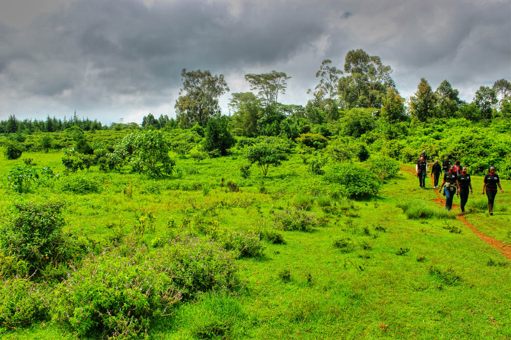 Save Mount Kenya_clearing2
