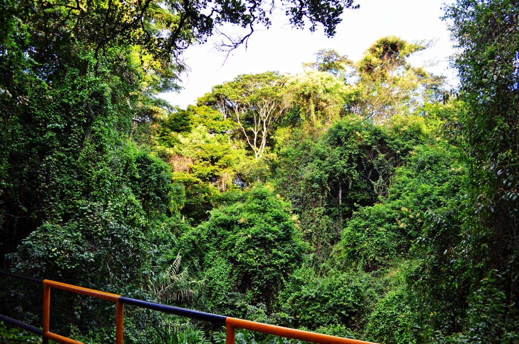 Oloolua Nature Trail_Bridge2
