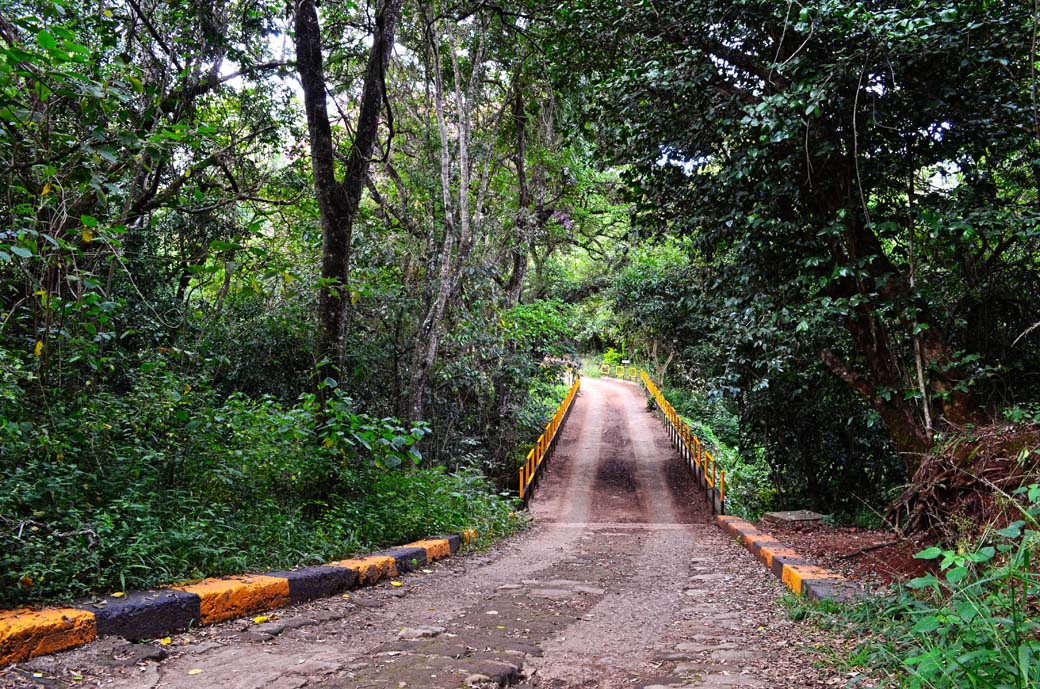 Oloolua Nature Trail_Bridge3