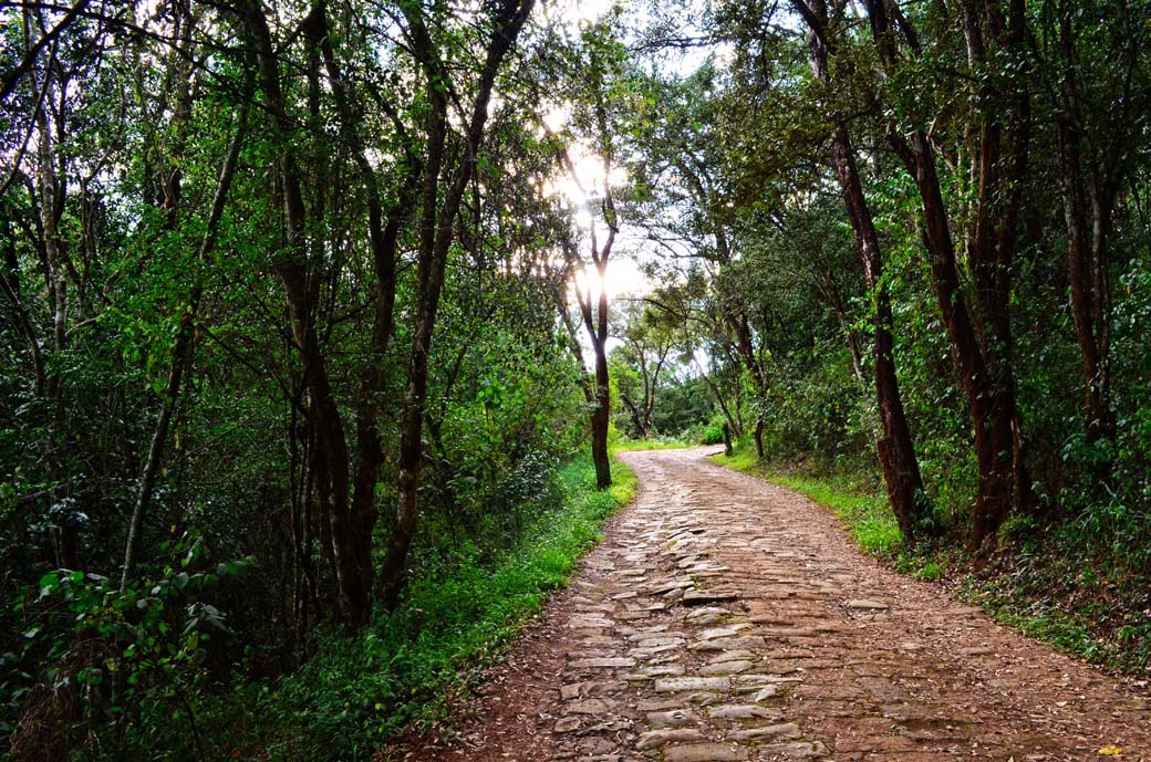 Oloolua Nature Trail_Path