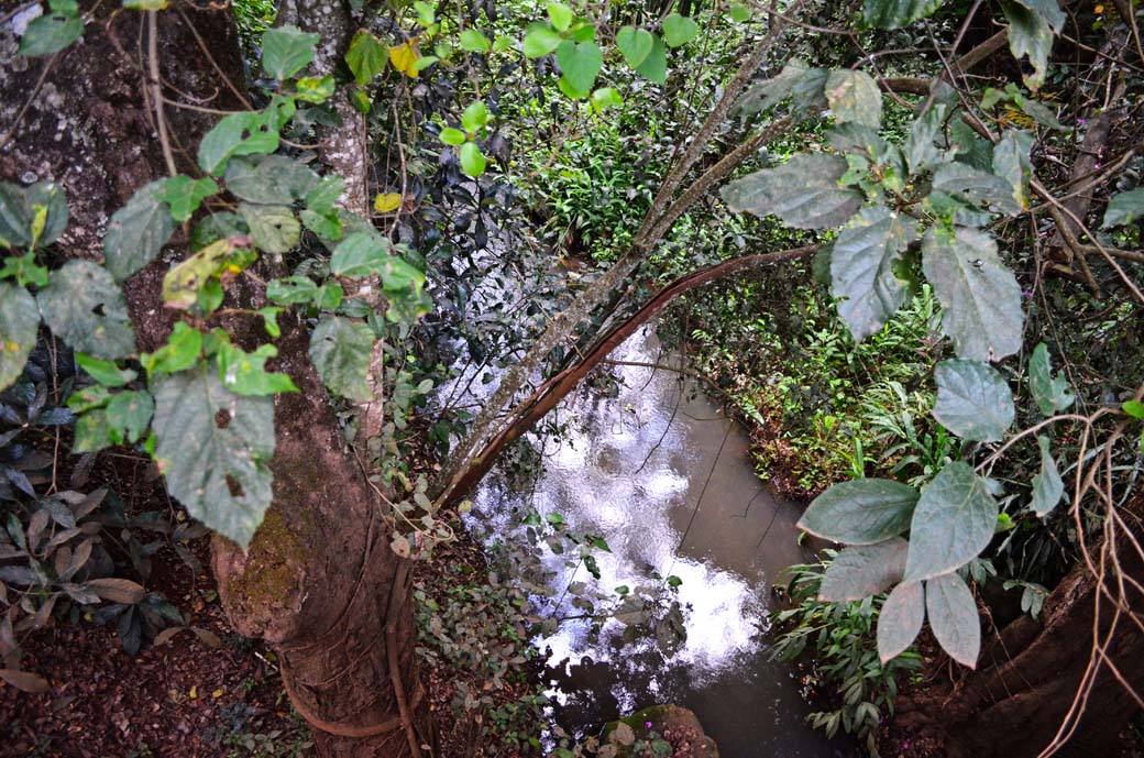 Oloolua Nature Trail_River1