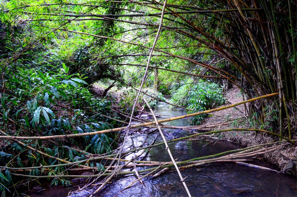 Oloolua Nature Trail_River3