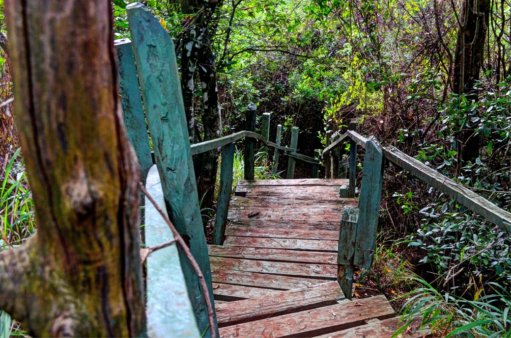 Oloolua Nature Trail_Walkaway