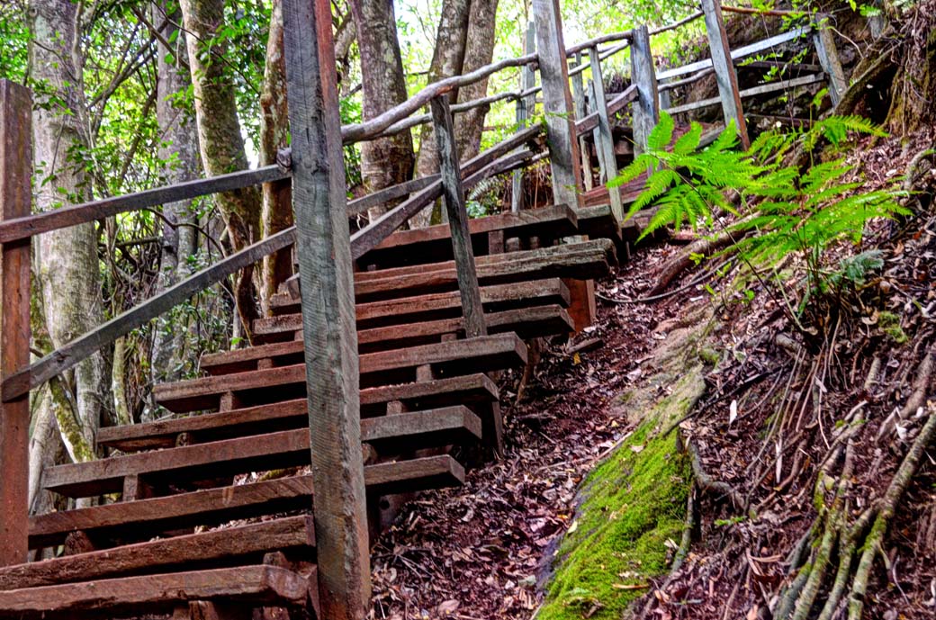 Oloolua Nature Trail_Walkaway2