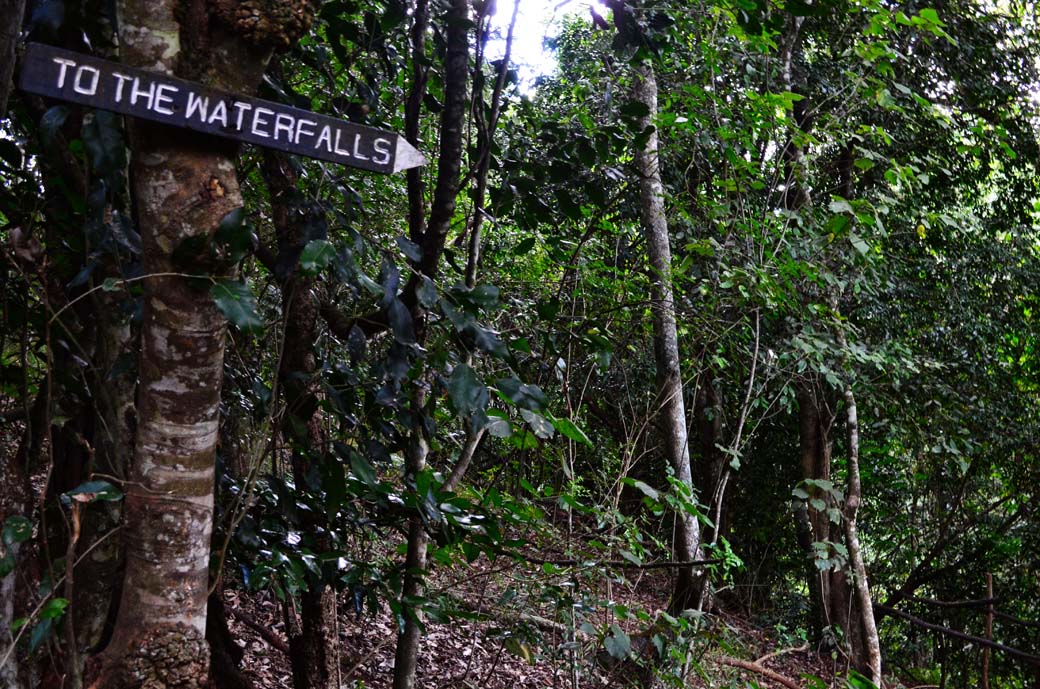 Oloolua Nature Trail_Waterfall sign