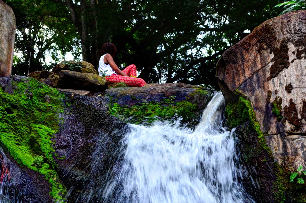 sitting on top of the waterfall one of the key attractions in the Oloolua Nature Trail sitting on top of the waterfall one of the key attractions in the Oloolua Nature Trail