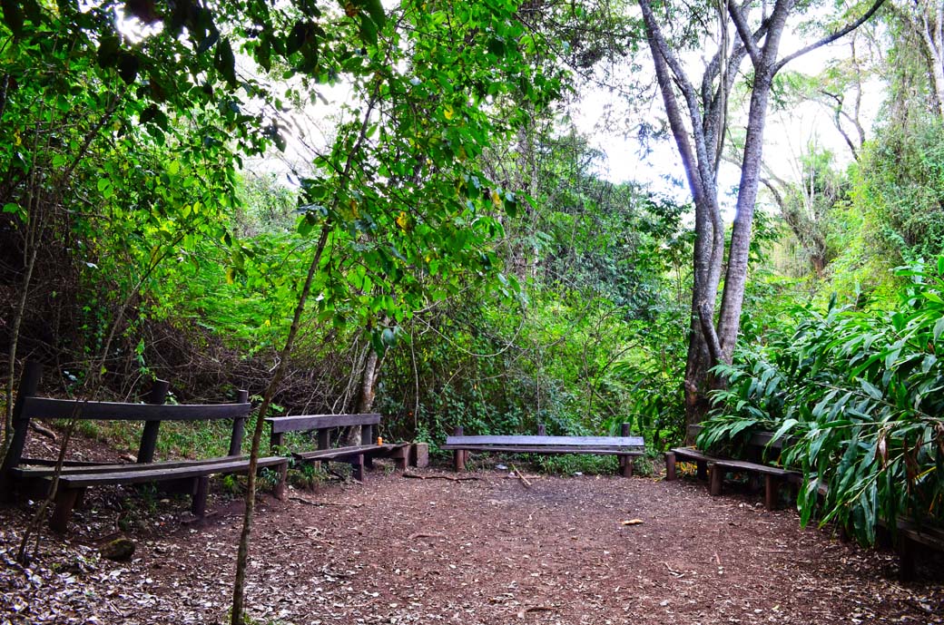 Oloolua Nature Trail_benches